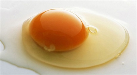 備孕期間男人吃什么好    備孕男人吃什么提高精子質量