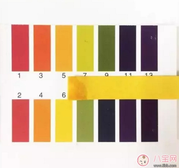 漂漂羽毛濕巾怎么樣 漂漂羽毛濕巾測評(píng)(完整版) 漂漂羽毛濕巾怎么樣 漂漂羽毛濕巾測評(píng)(完整版)