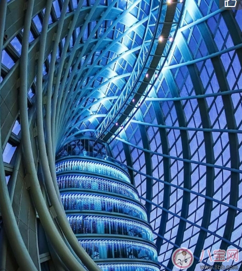 漂漂羽毛發(fā)布會明星 漂漂羽毛品牌故事 漂漂羽毛發(fā)布會明星 漂漂羽毛品牌故事