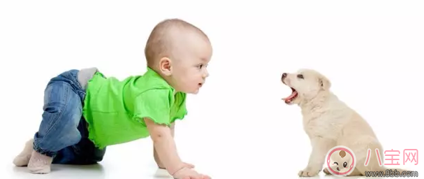 寶寶爬行怎么教 教會寶寶爬行小技巧 寶寶爬行怎么教 教會寶寶爬行小技巧