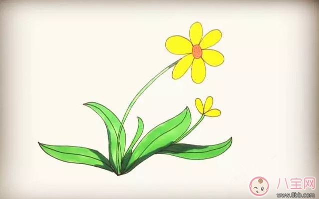 兒童簡筆畫太陽花 太陽花圖片簡筆畫步驟