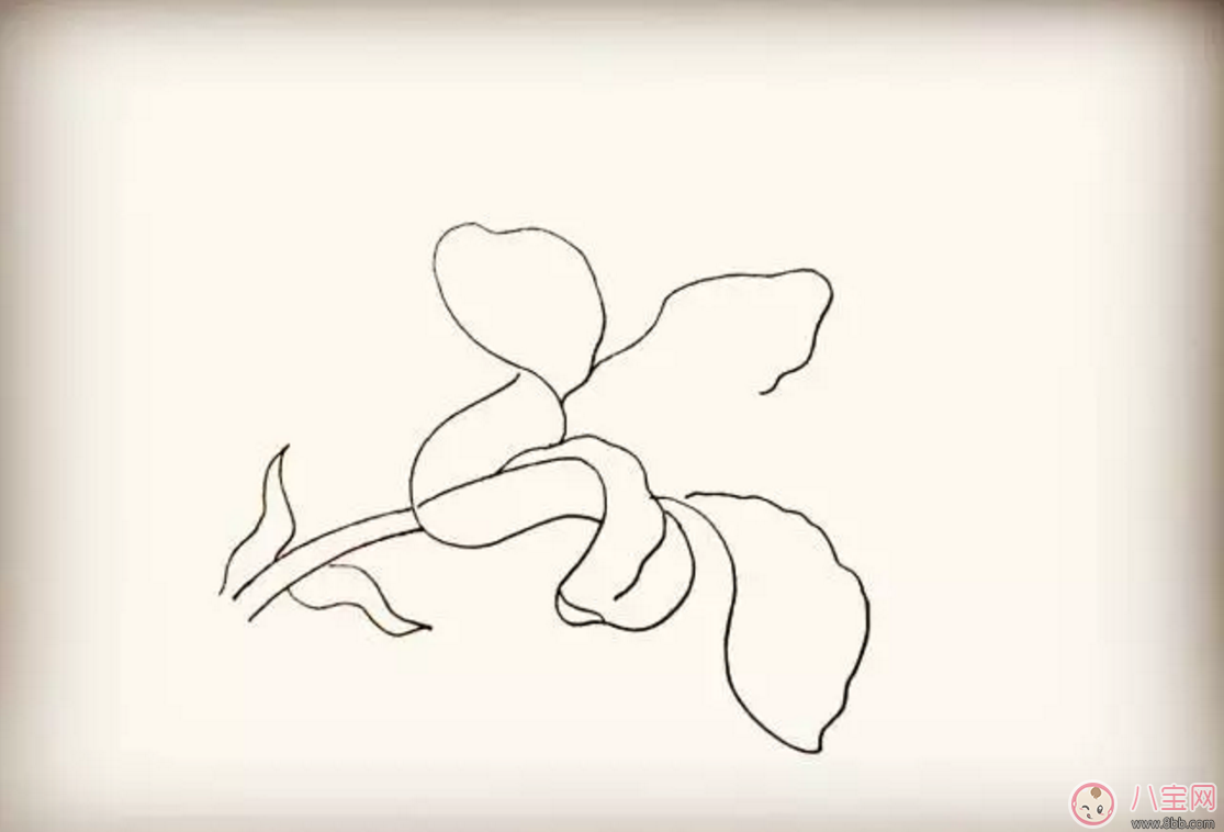 怎么教寶寶花百合花 百合花簡筆畫 怎么教寶寶花百合花 百合花簡筆畫