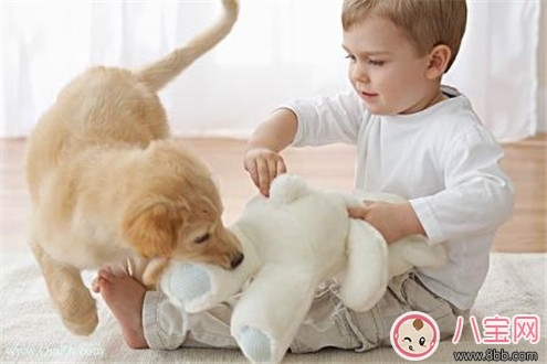 寶寶與家里養的寵物相處注意事項