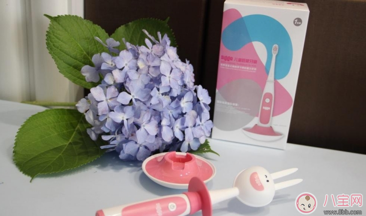 寶寶刷牙用什么牙刷好 sidda兒童智能牙刷測評