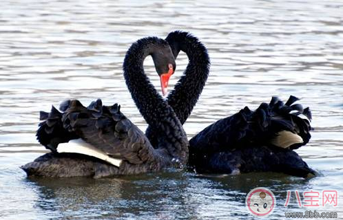 親子游去哪避暑比較好 武漢最佳避暑游玩推薦 親子游去哪避暑比較好 武漢最佳避暑游玩推薦