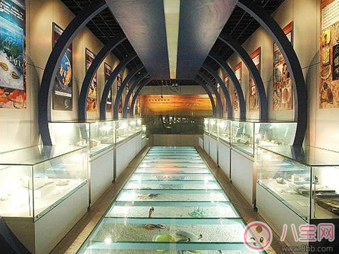 親子游去哪避暑比較好 武漢最佳避暑游玩推薦