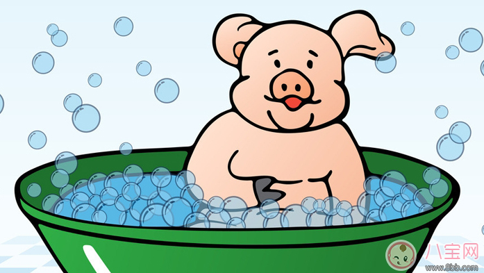  胎寶寶愛聽的胎教故事：小豬萌萌不洗澡