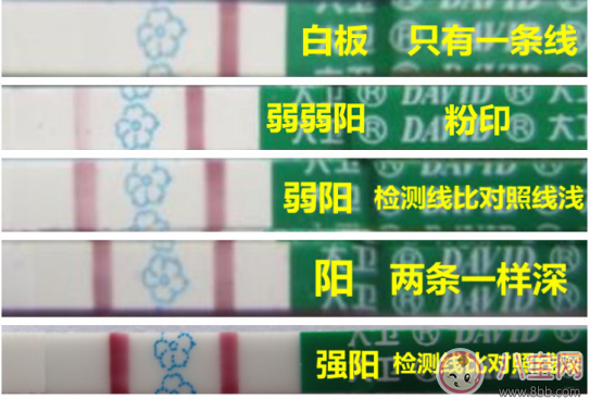 測卵紙二條紅線是不是可以懷上 備孕測排卵的方法 測卵紙二條紅線是不是可以懷上 備孕測排卵的方法