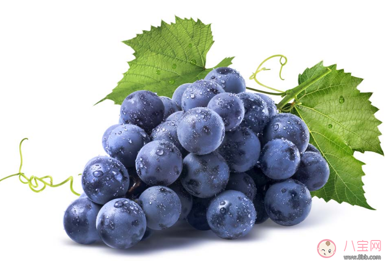 懷孕吃這幾樣食物 保證寶寶聰明又健康