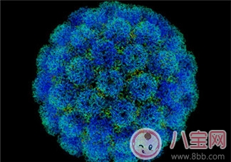 2017腸病毒高發期 這樣做躲過易發病 2017腸病毒高發期 這樣做躲過易發病