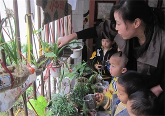 夏季帶孩子養植物養什么植物好 和孩子養植物成長快