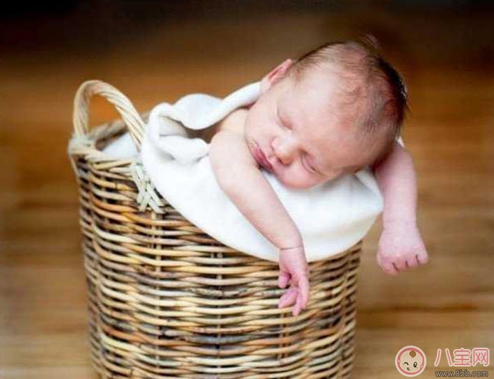 2017年雞寶寶取名禁忌 雞寶寶取名宜用字(男寶寶女寶寶)