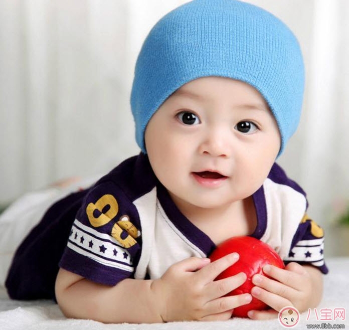 4-6個月早教玩具有哪些 早教玩具益智玩具