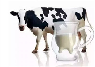 寶寶可以吃牛初乳嗎 牛初乳的作用