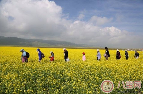 暑假到了 如何為寶寶選擇合適的夏令營