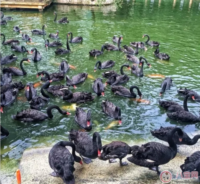 2017七夕節全家出游攻略 帶娃出行怎么做