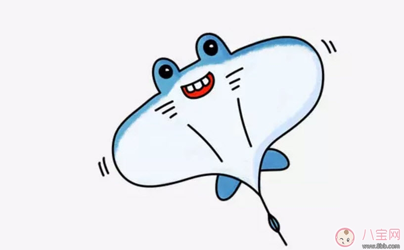 海洋生物趣味多 魚類簡筆畫 海洋生物趣味多 魚類簡筆畫