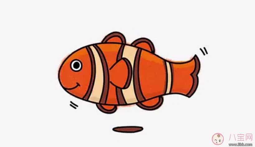 海洋生物趣味多 魚類簡筆畫 海洋生物趣味多 魚類簡筆畫