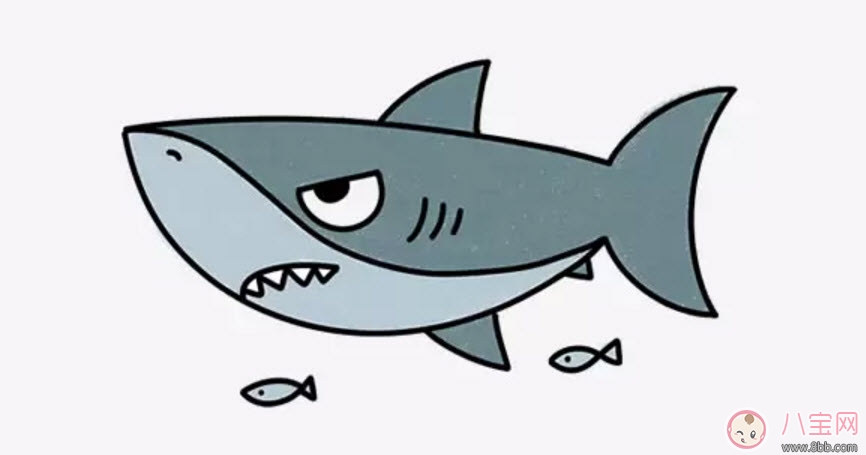 海洋生物趣味多 魚類簡筆畫 海洋生物趣味多 魚類簡筆畫