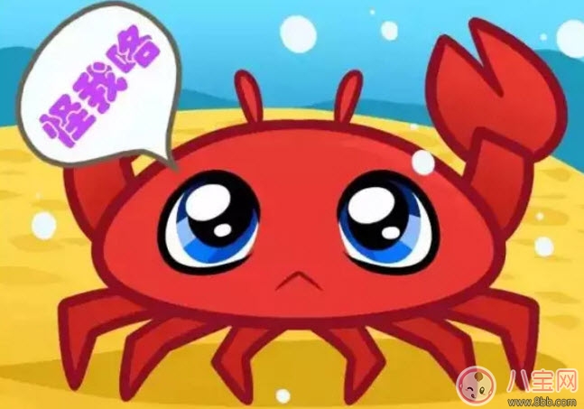 孕婦能吃螃蟹嗎 孕婦吃螃蟹會流產嗎(孕婦吃螃蟹注意事項)