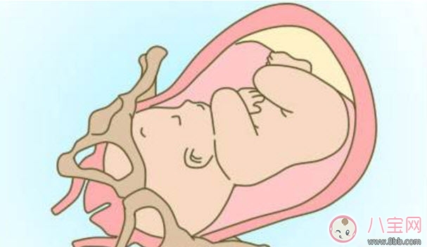 什么是異常分娩 七種異常分娩的處理方法