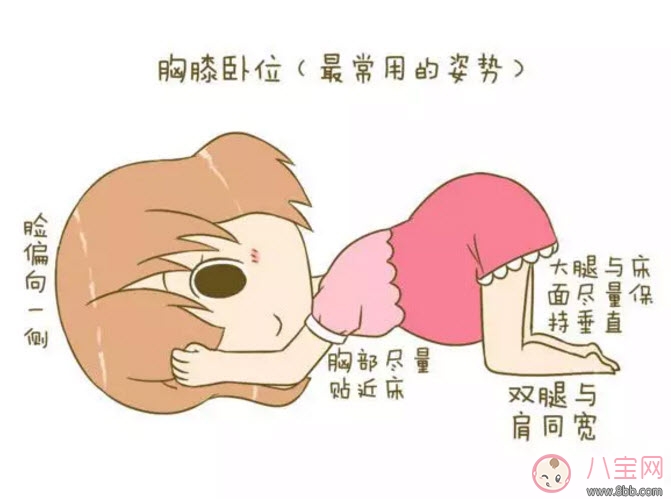 孕晚期胎位不正怎么辦 孕晚期胎位圖