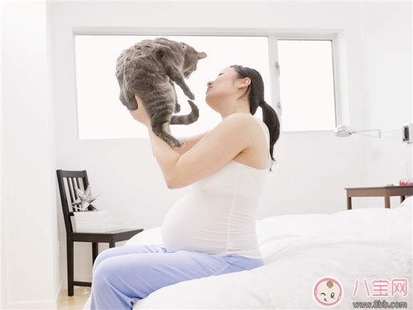 孕期家里有寵物怎么辦 孕期養寵物注意事項