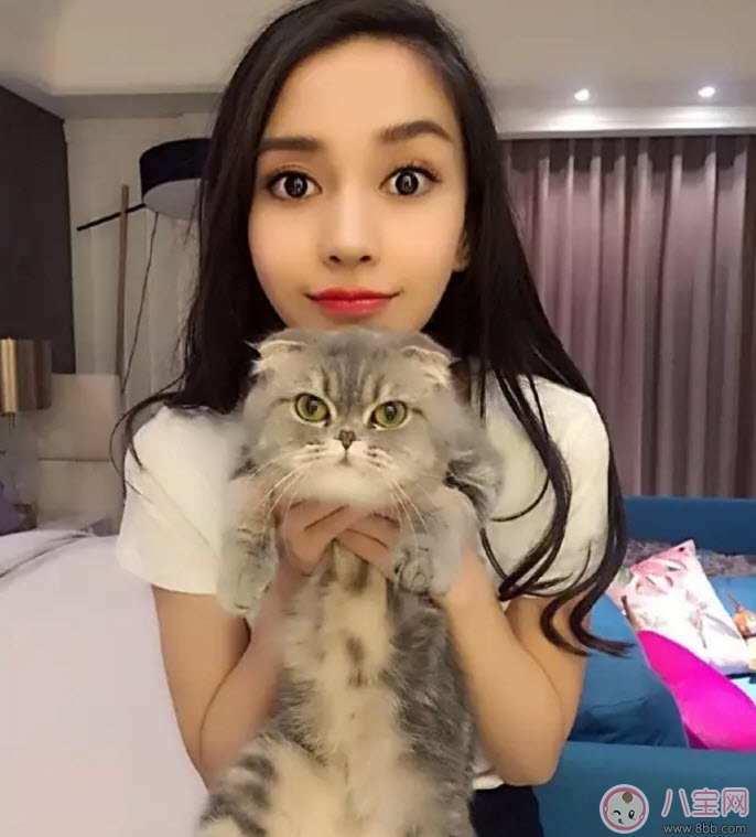 孕期家里有寵物怎么辦 孕期養寵物注意事項