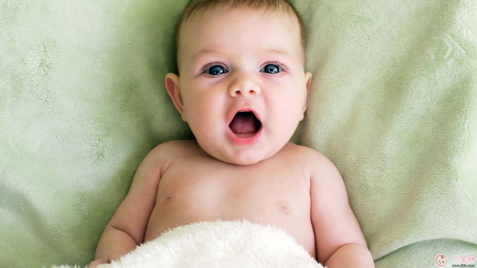 寶寶大便顯示了寶寶的狀況 注意寶寶排便頻率 寶寶大便顯示了寶寶的狀況 注意寶寶排便頻率