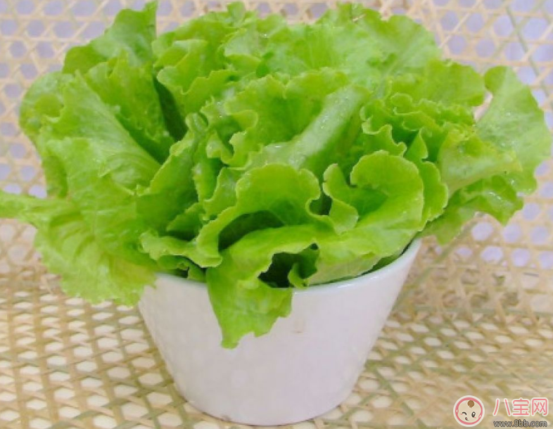 寶寶愛吃生菜怎么做 寶寶最適合吃的生菜做法 寶寶愛吃生菜怎么做 寶寶最適合吃的生菜做法