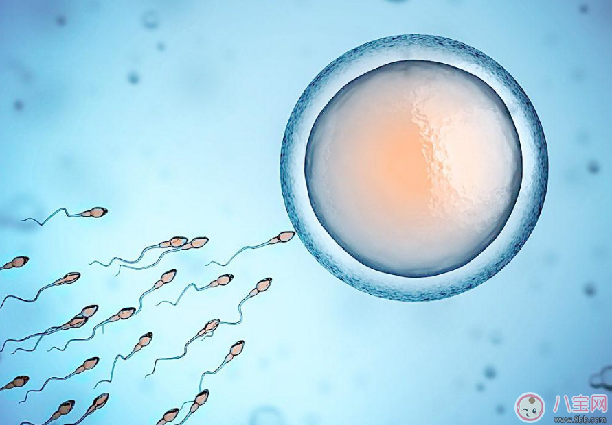 備孕三個月懷不上 其實懷不上并不是一個人的錯 備孕三個月懷不上 其實懷不上并不是一個人的錯