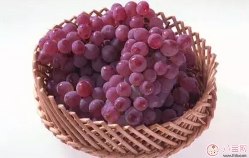 孕婦每天可以吃多少葡萄 懷孕吃葡萄有什么好處 孕婦每天可以吃多少葡萄 懷孕吃葡萄有什么好處