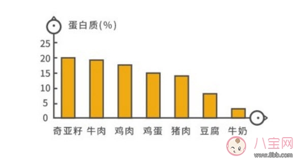 奇亞籽為什么這么火 奇亞籽的功效與作用(奇亞籽副作用)