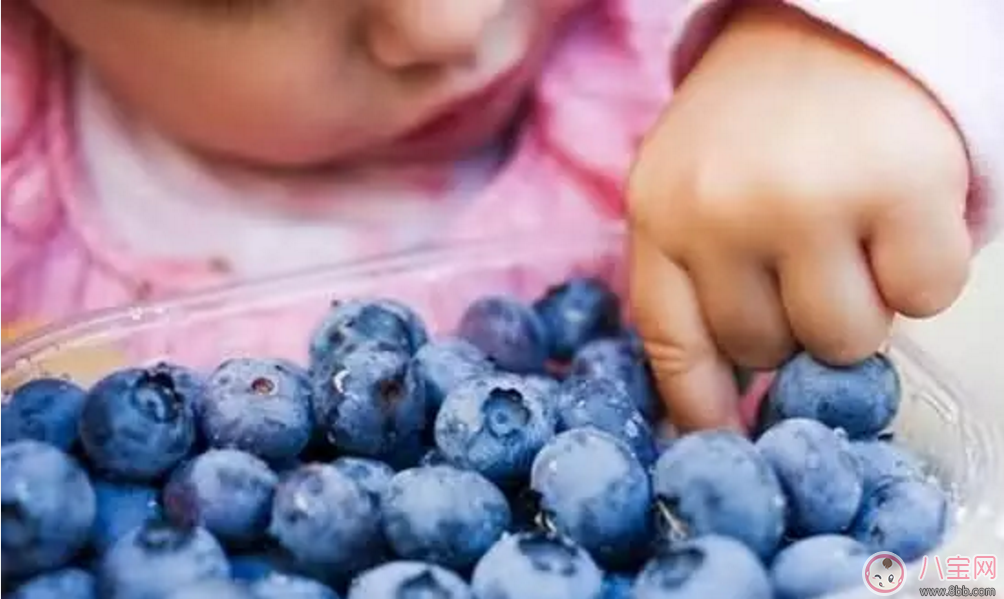 寶寶食用藍莓好處多 幫助骨骼生長 寶寶食用藍莓好處多 幫助骨骼生長