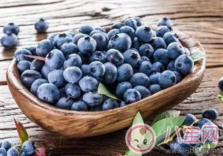 藍莓輔食營養高 如何給寶寶吃