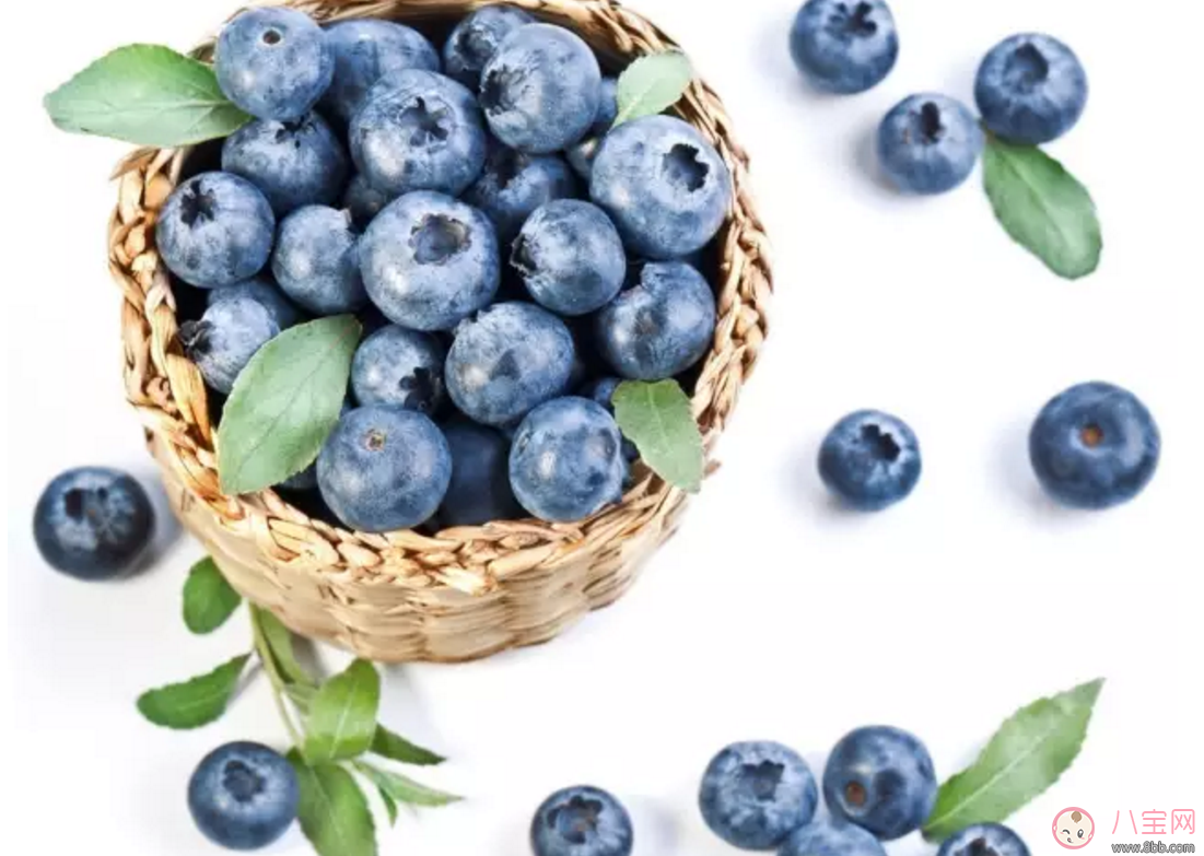 藍莓輔食營養高 如何給寶寶吃