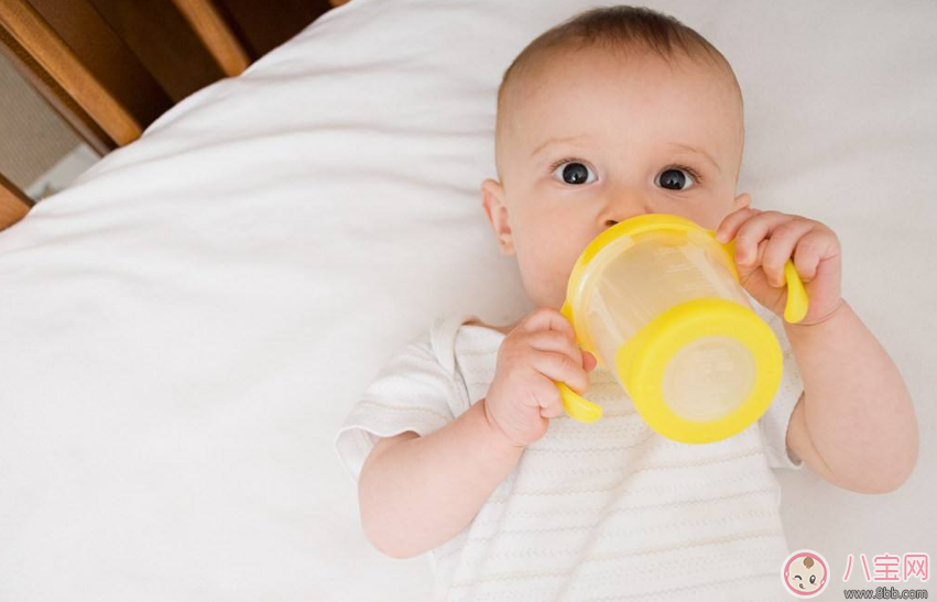 喝催奶湯依舊沒(méi)奶 到底是哪些原因影響產(chǎn)奶