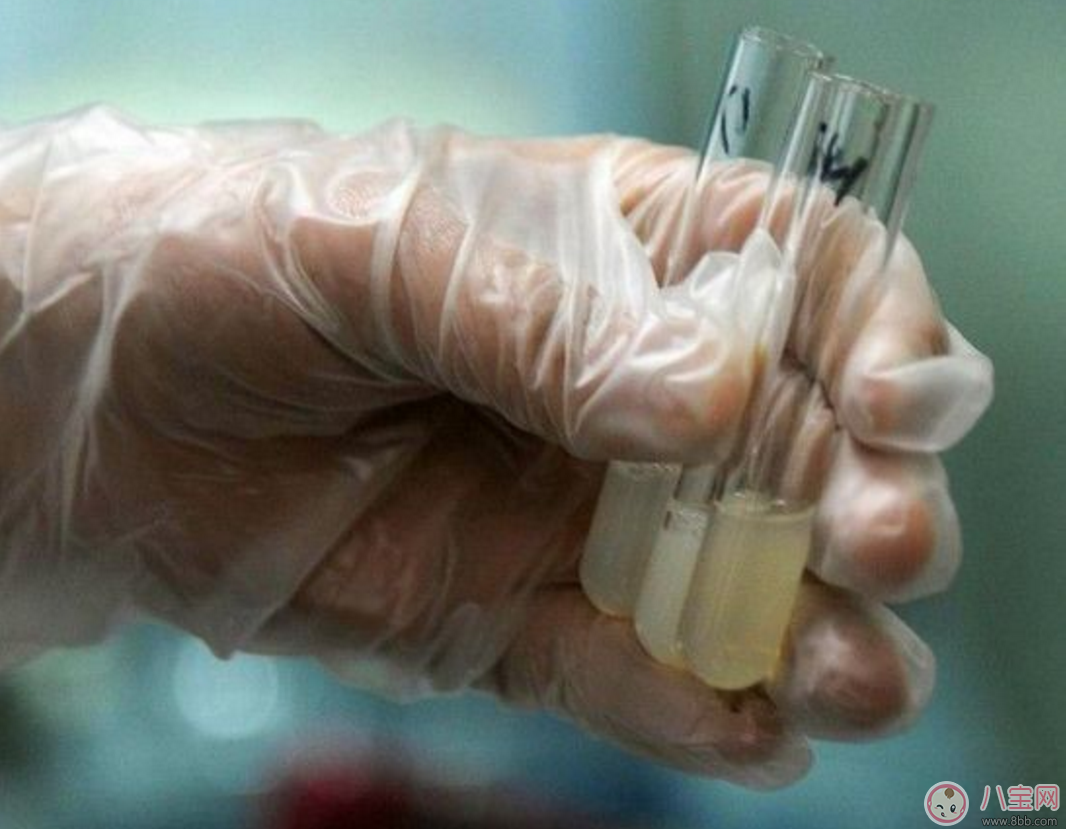 增強男性生育力 提高精子質量 增強男性生育力 提高精子質量