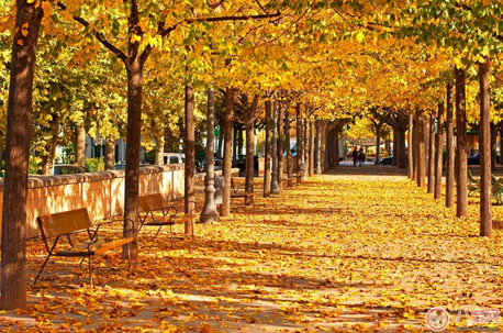 天氣這么熱立秋之后會降溫嗎 秋老虎究竟是什么 天氣這么熱立秋之后會降溫嗎 秋老虎究竟是什么