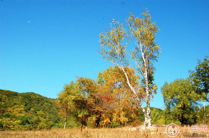 貼秋膘怎么吃好 做什么吃最有食欲