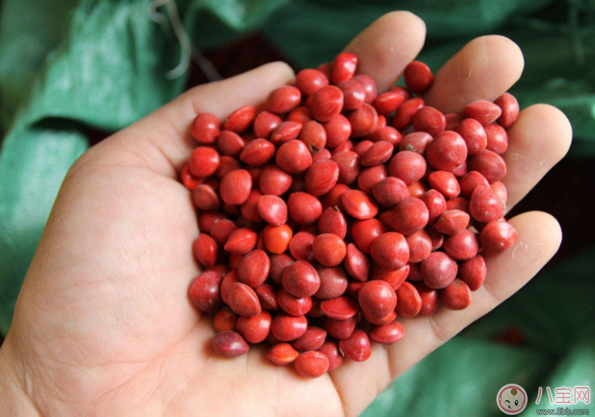 立秋來(lái)了為什么還是這么熱 我一定過(guò)了一個(gè)假的立秋