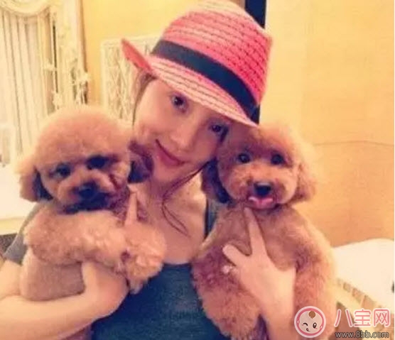 養寵物的孕婦應該做哪些檢查 為什么明星懷孕了能養寵物