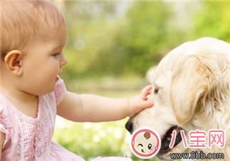 寶寶被各種寵物抓咬傷的緊急處理措施 寶寶被各種寵物抓咬傷的緊急處理措施