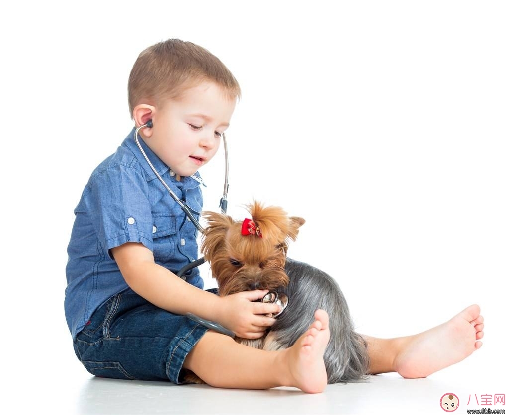 寶寶被各種寵物抓咬傷的緊急處理措施 寶寶被各種寵物抓咬傷的緊急處理措施