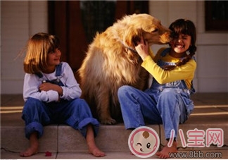 寵物攻擊性測試方法 寶寶被寵物咬傷的正確處理 寵物攻擊性測試方法 寶寶被寵物咬傷的正確處理