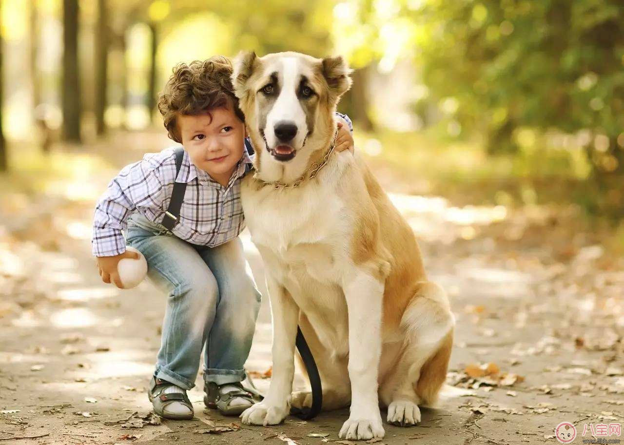 寵物攻擊性測試方法 寶寶被寵物咬傷的正確處理 寵物攻擊性測試方法 寶寶被寵物咬傷的正確處理