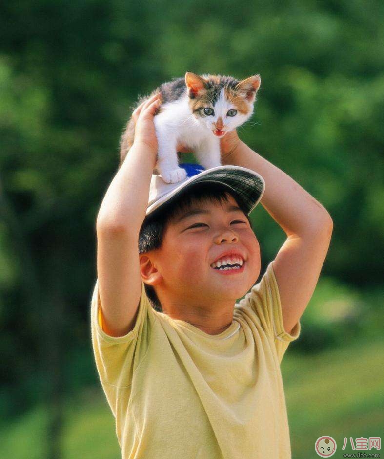 寵物攻擊性測試方法 寶寶被寵物咬傷的正確處理 寵物攻擊性測試方法 寶寶被寵物咬傷的正確處理