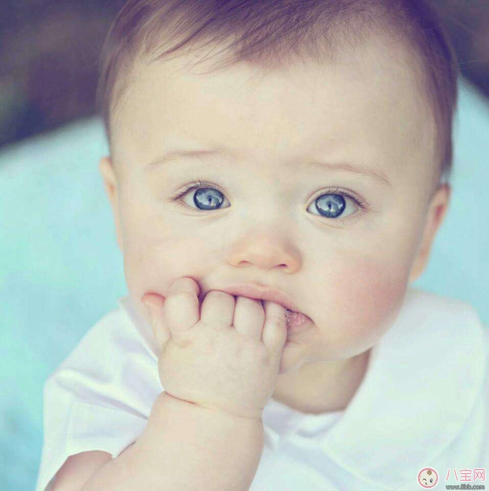 寶寶秋季流鼻血怎么辦 如何處理和預防 寶寶秋季流鼻血怎么辦 如何處理和預防