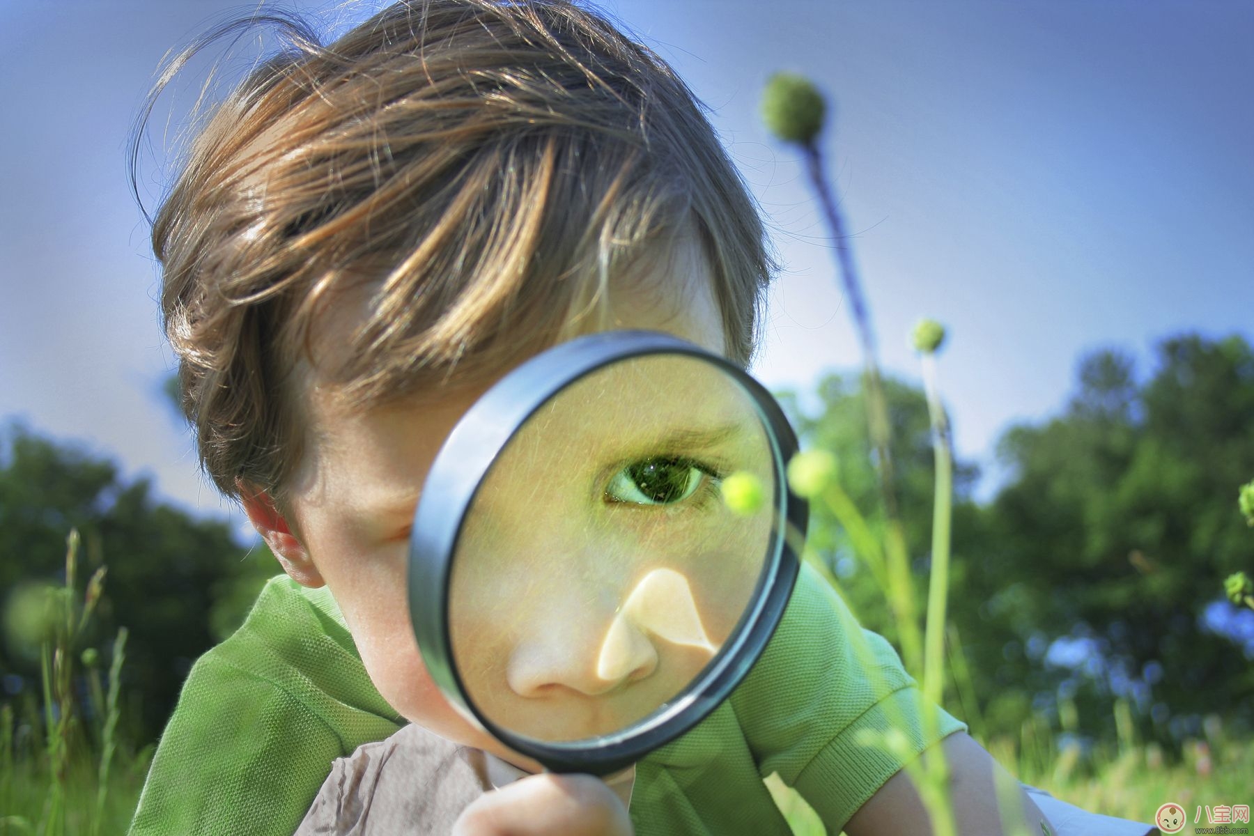 寶寶嗅覺、味覺發(fā)育及訓(xùn)練方法 寶寶嗅覺、味覺發(fā)育及訓(xùn)練方法