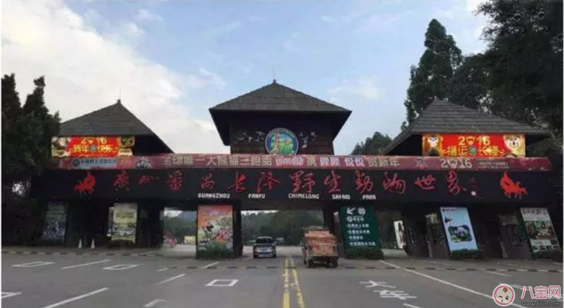 2017七夕節全家出游  看看長隆親子攻略